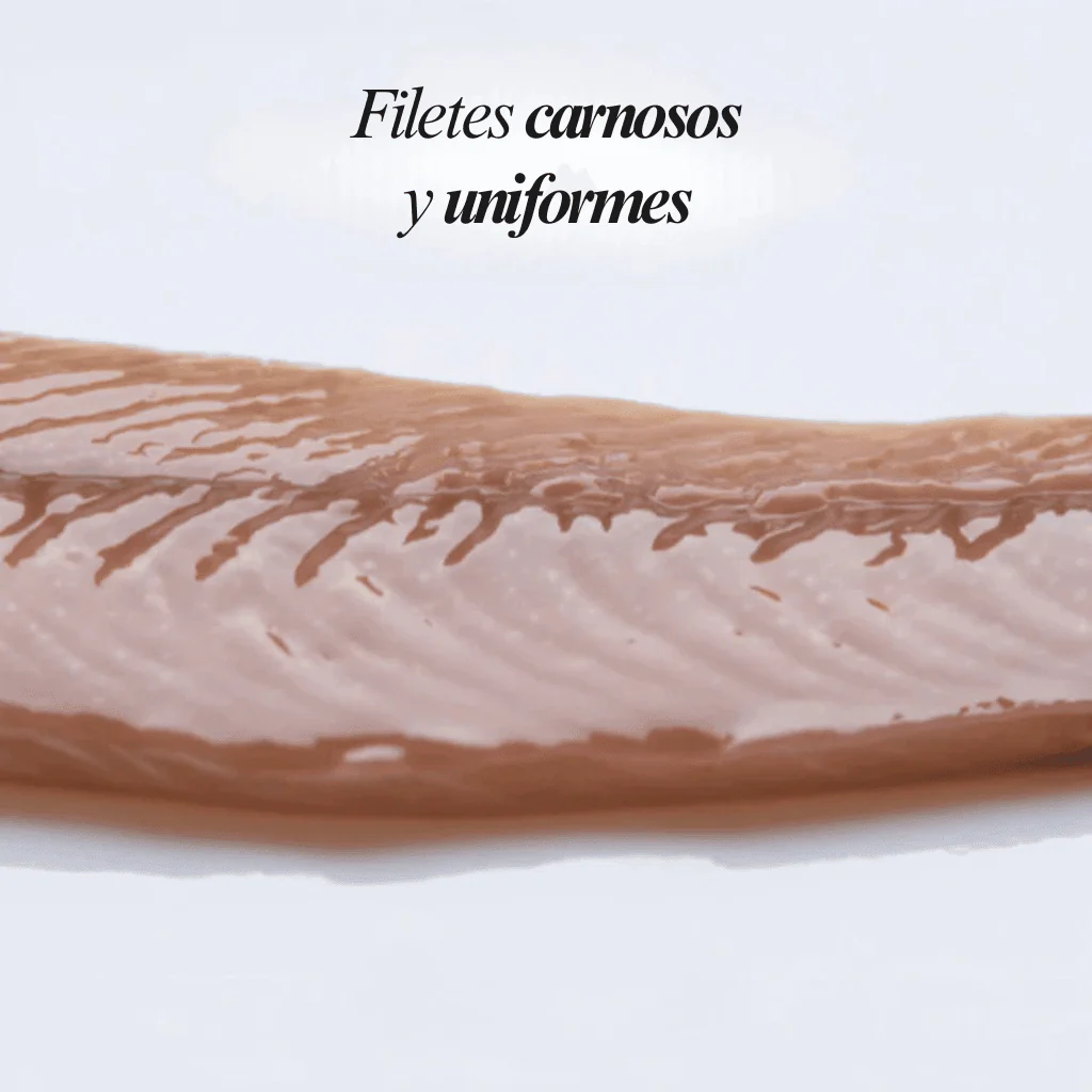 Anchoas del Cantábrico "0" Selección Gourmet - Image 4