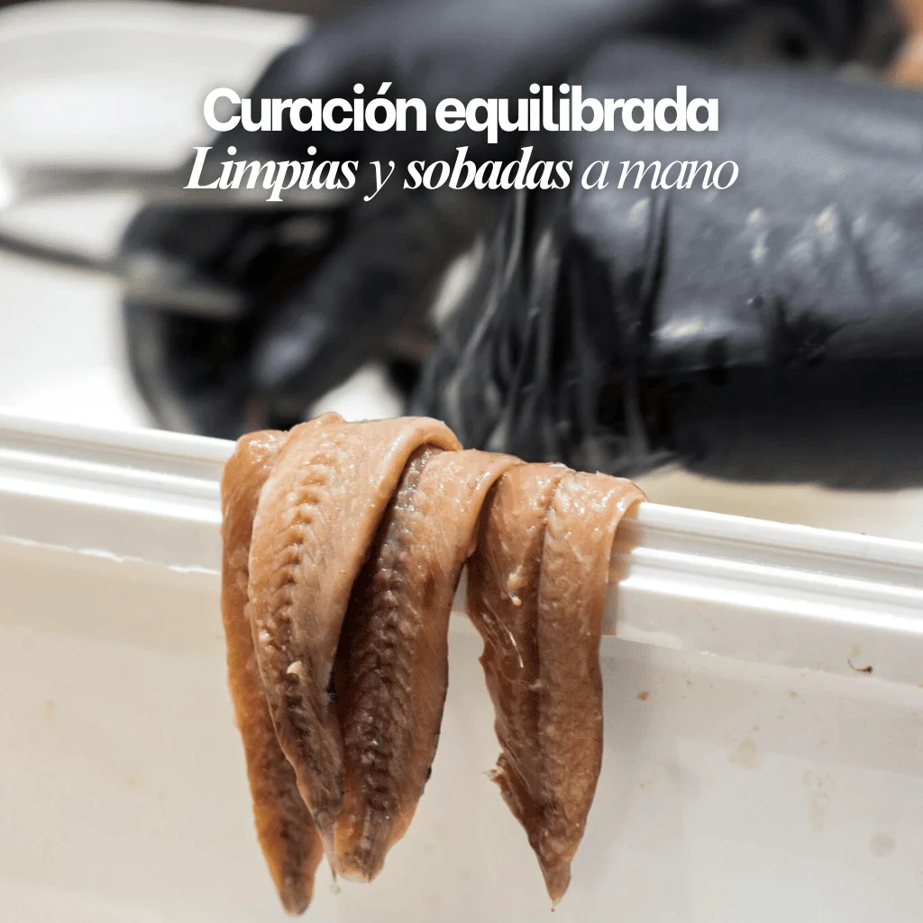 Anchoas del Cantábrico "0" Selección Gourmet - Image 7