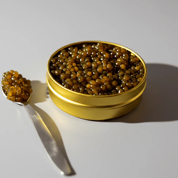 Caviar Beluga Iraní 000 Calidad Premium - Image 6